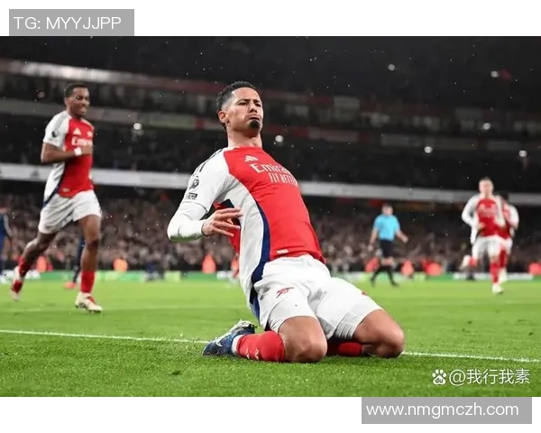 第14轮英超精彩对决阿森纳与热刺全场比赛精彩回放 第14轮英超精彩对决阿森纳与热刺全场比赛精彩回放