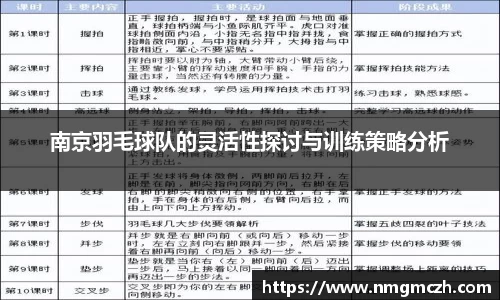 南京羽毛球队的灵活性探讨与训练策略分析